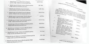 Turizm acentelerine  58 bin 680.75 Euro,  57 bin 689.82 TL katkı!