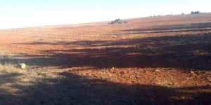 ‘Bölgeye kimler yerleştirilecek?’