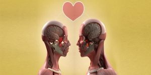 Aşk= Cinsellik-Şefkat-Bağlılık