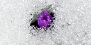 Şiirlerle büyüsün çocuklar