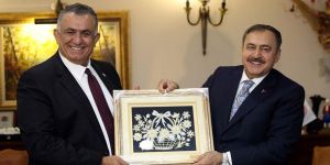 Çavuşoğlu, Ankara'da Veysel Eroğlu ile görüştü