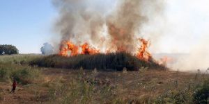 Kayıp Şahıslar Komitesi’nin iş araçları yangını önledi