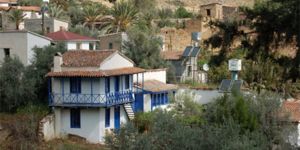 Bağlıköy’de köy düğünü