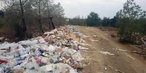 Bu ormanın ‘BAKANI’ yok!