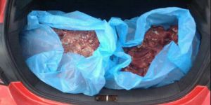 Kermiya'da 2 araçta kaçak et