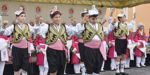 Alıç Festivali iptal edildi