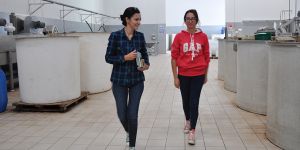 Dededen toruna; Yeşil Lefke Ticaret Ltd.