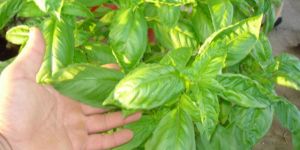 YALNIZ DEĞİLSİNİZ…