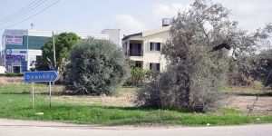 Vatandaş ‘istimlak sorunu var’ diyor, bakanlık reddediyor: