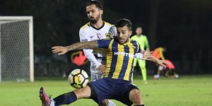 DERBİNİN RENGİ  SARI LACİVERT: 1-3