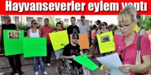 “Hayvan Refah Yasası uygulansın”