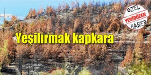 Yeşilırmak küllerinden doğmak istiyor