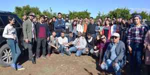 Gaziveren’de mandalin topladılar