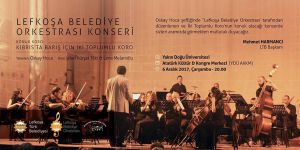 Kıbrıs’ta barış için çalacaklar…