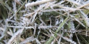 Soğuk hava etkisini gösterecek