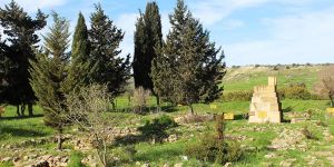 Beşparmakların saklı defineleri