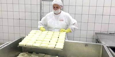 Hellimde küçükbaş hayvan sütü oranı yüzde 19’da kalacak