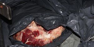 Demirhan'da 900 kilo kaçak et