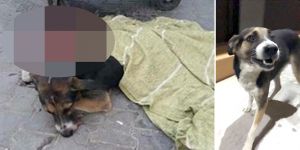 ‘Bunun adı cinayet’!