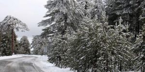 Trodos Dağları’nda “Beyaz Yılbaşı”