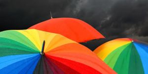 Avrupada Nefret Suçu Raporu yayımlandı