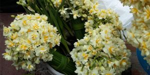 'Suça ortak olmayın, satanları ihbar edin'