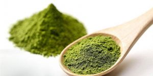 Matcha Çayının Faydaları Nelerdir