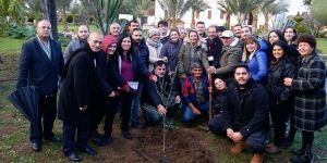 Güzelyurt'ta zeytin ağacı diktiler...