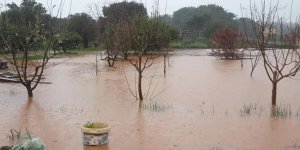 118 yılın en yağışlı yıllarından biri