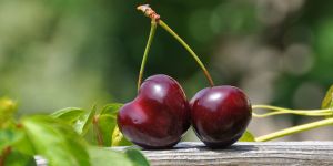 Şiirlerle büyüsün çocuklar