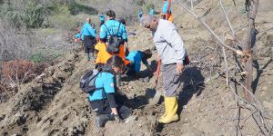 Bademliköy’e 2 bin 200 fidan