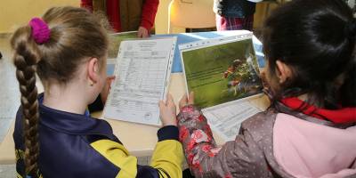 İlk ve orta dereceli okullarda karneler 31 Ocak Salı günü dağıtılacak...