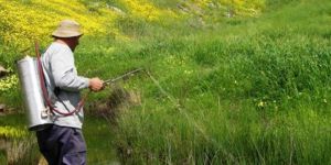 Tarım'dan ilaç uyarısı