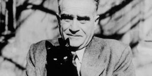 Ne İçindeyim Zamanın