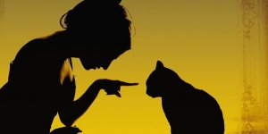 AYNI KEDİ, AYNI KADIN