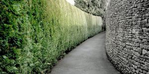 “Gerçeğin Çölüne Hoşgeldiniz!”