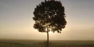 Şiirlerle büyüsün çocuklar