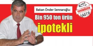 Cypruvex borç batağında
