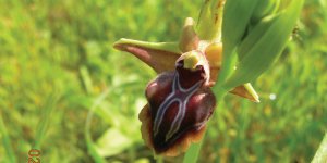 Doğa yürüyüşü bu Pazar