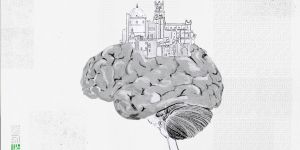 Hınç Ülkesi Türkiye