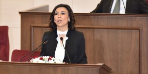 Özdenefe: Kimsenin başının tacı değiliz