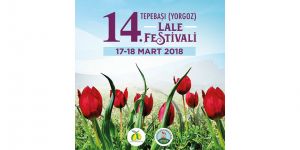 14. Tepebaşı Lale Festivali başlıyor