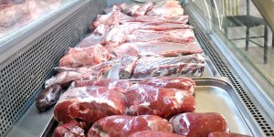 Hayvan kategorisine göre mühür