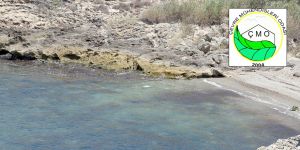 "Girne'de ek ünite atık su sorununu çözmez"