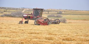 ‘Kayıtsız kişilere ödeme yapıldı’