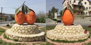 Lefke'nin simgesi 'Yafa Portakalı''