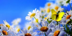 Şiirlerle büyüsün çocuklar