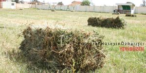 Futbol yok, balya var!