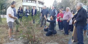 Birleşik Kıbrıs için fidan diktiler...