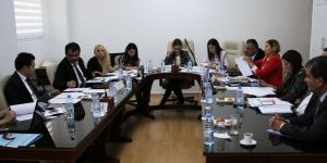 Seçim ve Halkoylaması (Geçici Kurallar) Yasa Tasarısı komiteden geçti